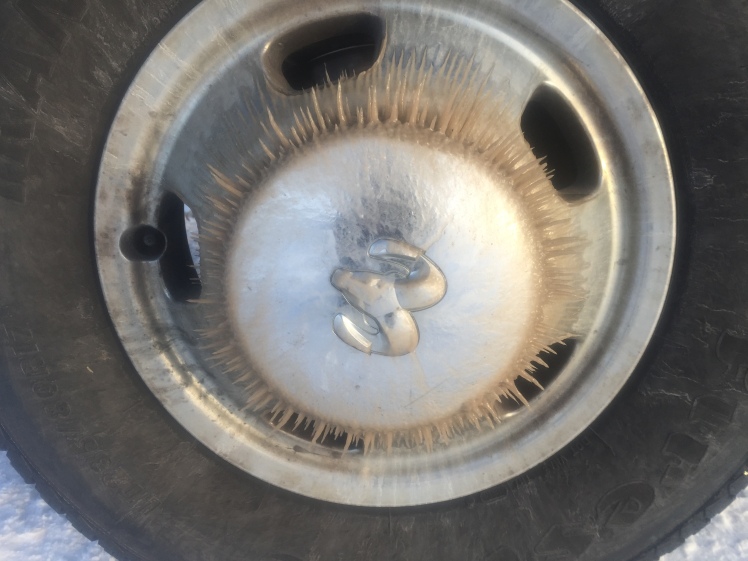 Gerry Willomitzer dog team truck hubcap